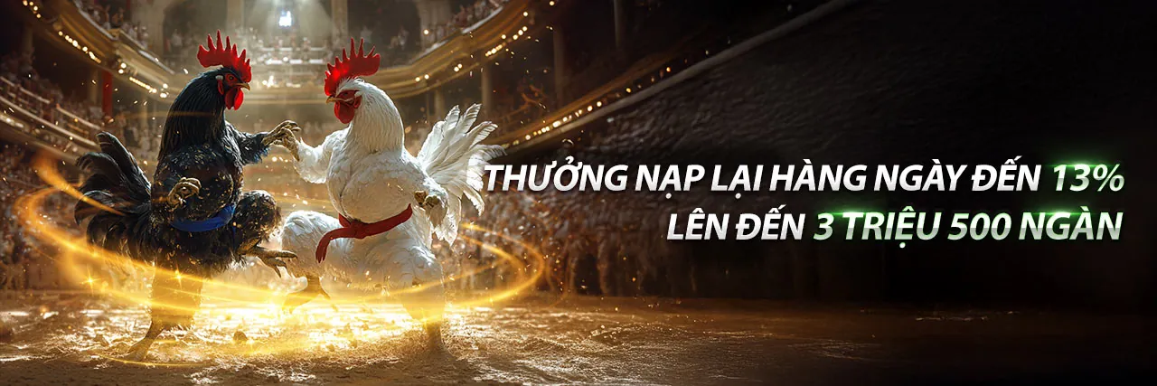 Đá gà trực tuyến j68bet với gà chiến và sân đấu kịch tính