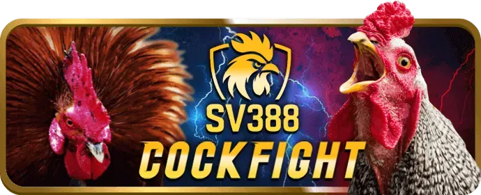 Sòng bạc j68bet chào mừng người chơi Việt Nam với không khí cộng đồng sôi động